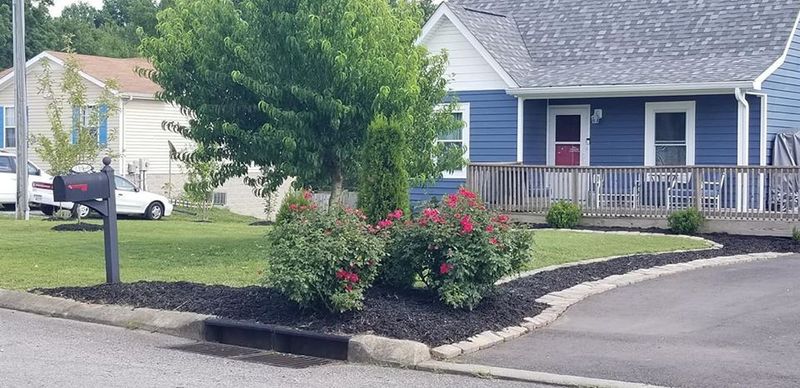 402 Corbitt Ln, Springfield, TN 37172