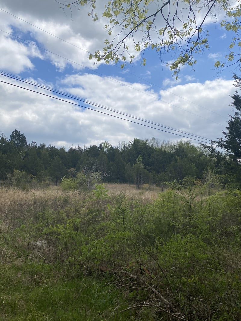 8654 Rocky Hill Rd, Lascassas, TN 37085