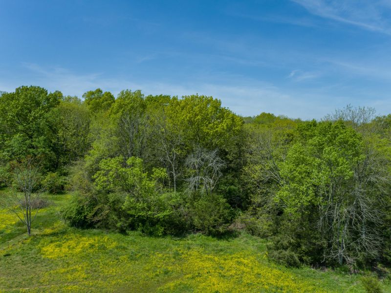 2810 Owl Hollow Rd, Franklin, TN 37064