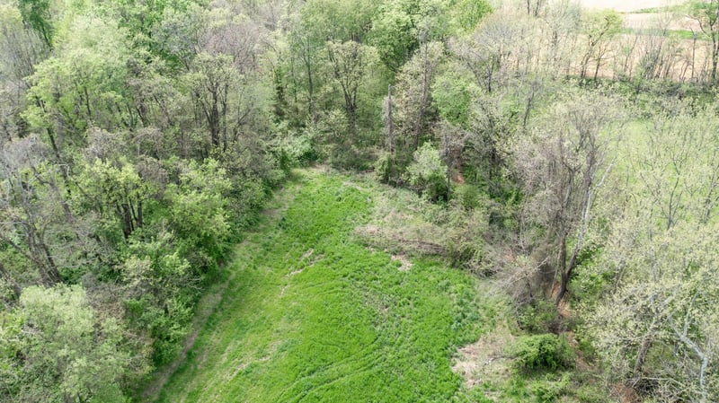 0 Dixon Rd, Orlinda, TN 37141