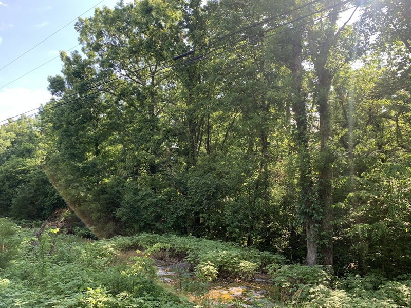 0 Rucker Christiana Rd, Christiana, TN 37037
