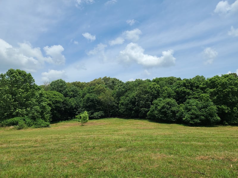 1125 Freeman Loop, Cumberland Furnace, TN 37051