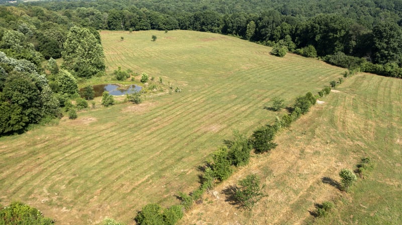 1125 Freeman Loop, Cumberland Furnace, TN 37051