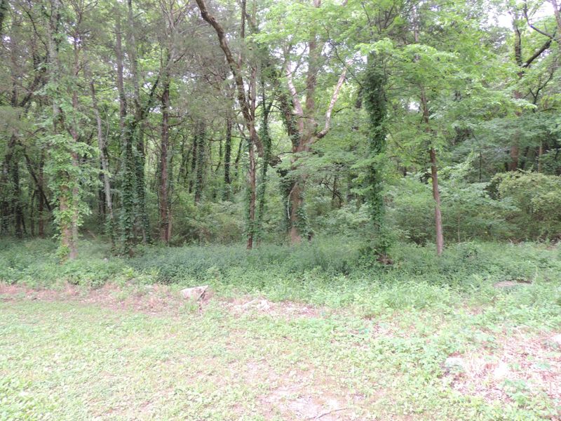 572 Meadowview Dr SW, Christiana, TN 37037