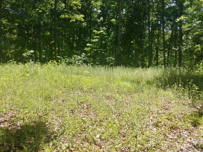 0 Doak Dr, Pegram, TN 37143