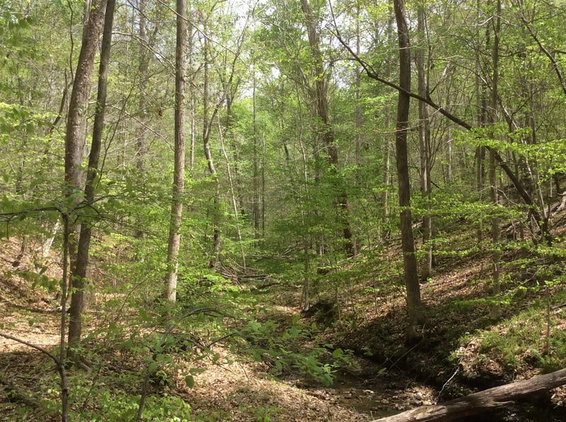 0 Doak Dr, Pegram, TN 37143