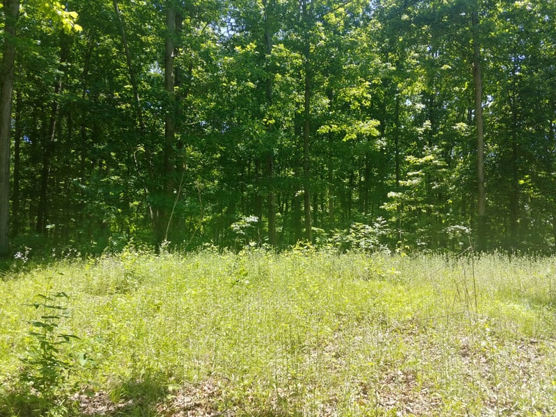 0 Doak Dr, Pegram, TN 37143