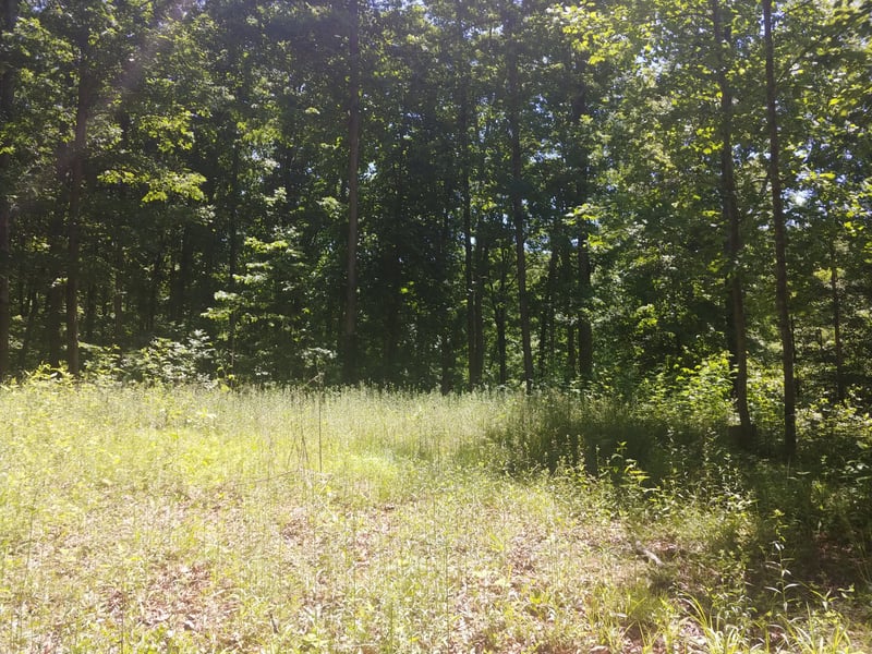 0 Doak Dr, Pegram, TN 37143