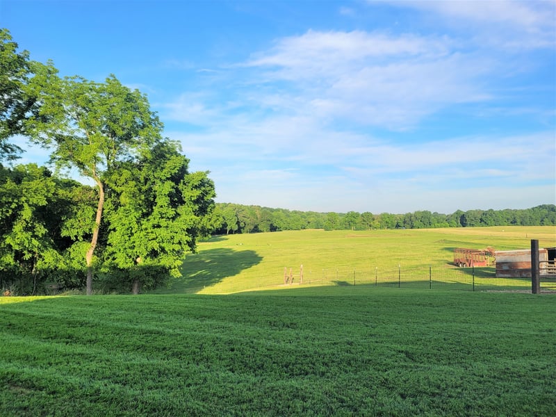 4125 Calista Rd, Cross Plains, TN 37049