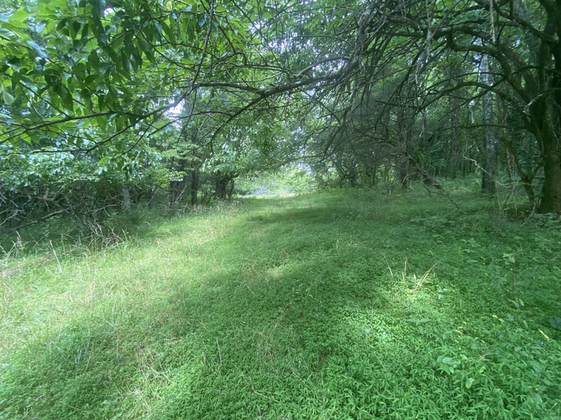 348 New Middleton Hwy, Gordonsville, TN 38563