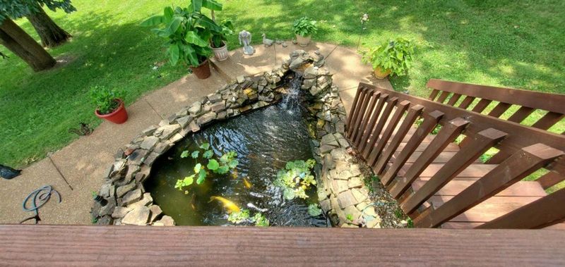 209 Bedrock Dr, White House, TN 37188