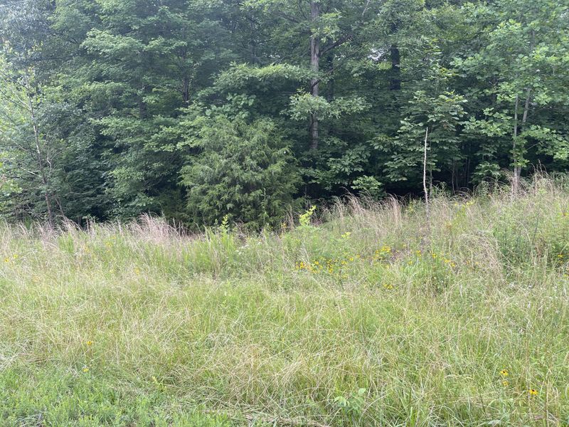 0 Dell Way Three, Dickson, TN 37055