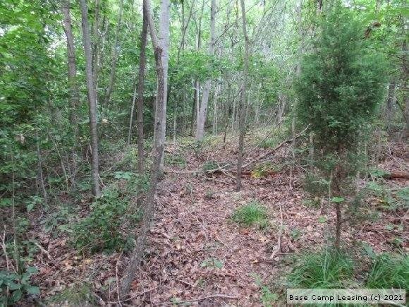 4778 Sulphur Creek Rd, Nashville, TN 37218