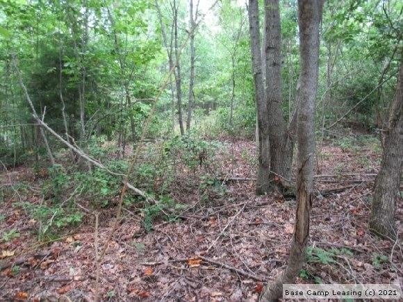 4778 Sulphur Creek Rd, Nashville, TN 37218