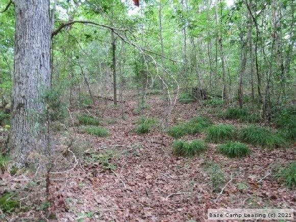 4778 Sulphur Creek Rd, Nashville, TN 37218