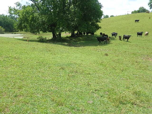 0 Byrd Ln, College Grove, TN 37046