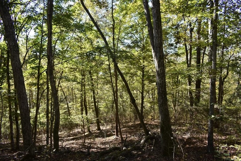 0 Bear Wallow Gap Ln, Carthage, TN 37030