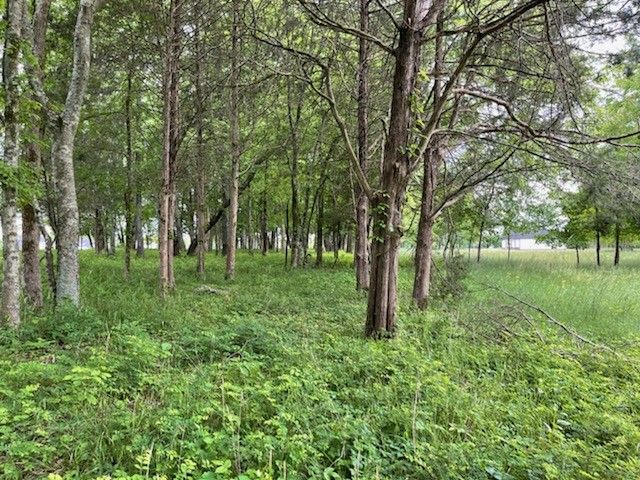 3 Walnut Cv, Christiana, TN 37037
