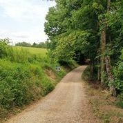 0 Huff Ln, Chestnut Mound, TN 38552