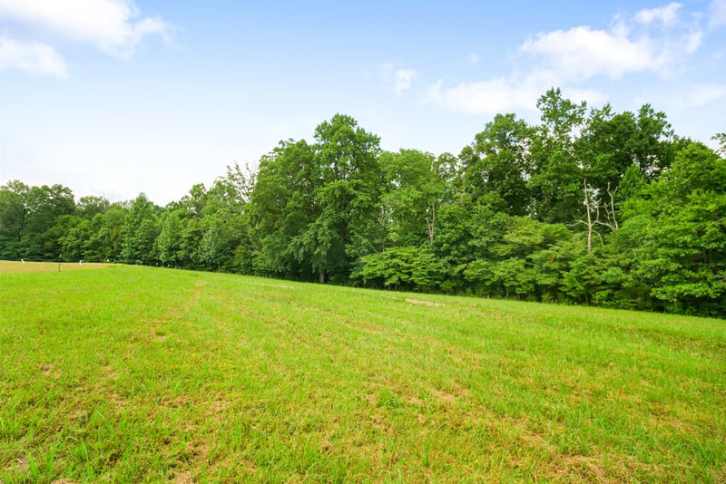7950 Fisher Rd, Primm Springs, TN 38476