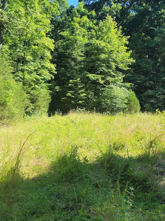 0 Leatherwood Rd, White Bluff, TN 37187