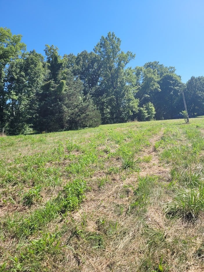 0 Leatherwood Rd, White Bluff, TN 37187
