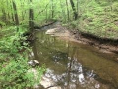 0 Leatherwood Rd, White Bluff, TN 37187