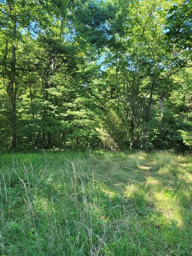 0 Leatherwood Rd, White Bluff, TN 37187