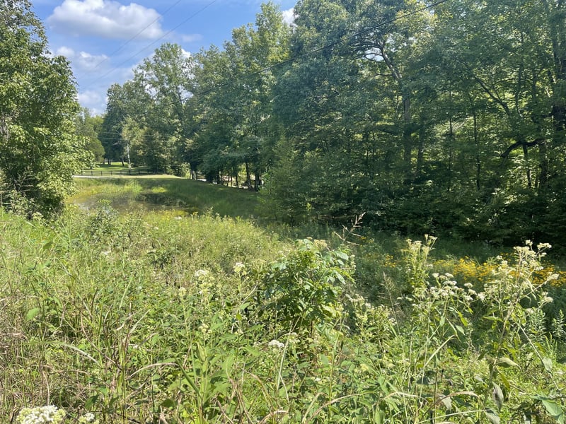 7300 Brush Creek Rd, Fairview, TN 37062