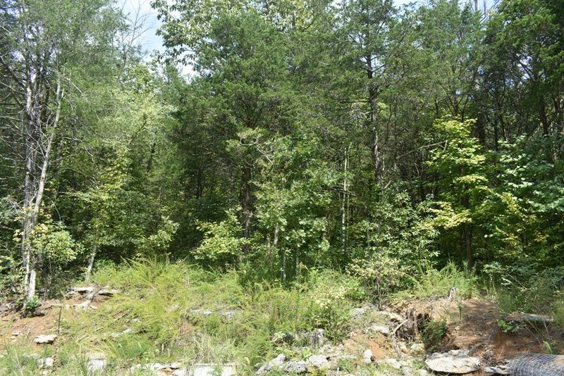 145 Ballenger Rd, Carthage, TN 37030