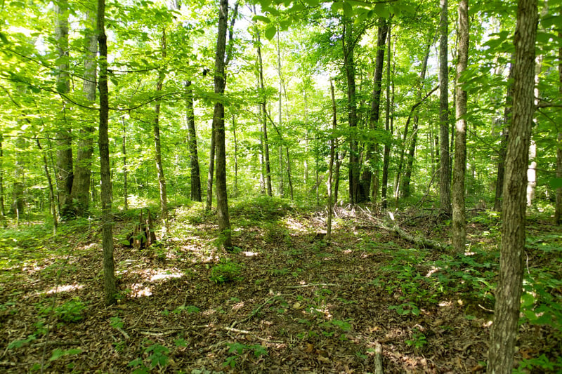 5929 Davis Hollow Rd, Franklin, TN 37064