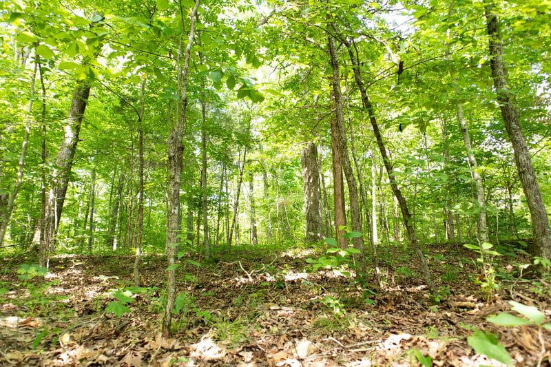 5929 Davis Hollow Rd, Franklin, TN 37064