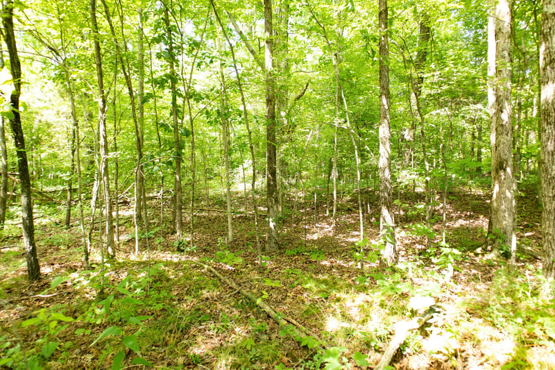 5929 Davis Hollow Rd, Franklin, TN 37064