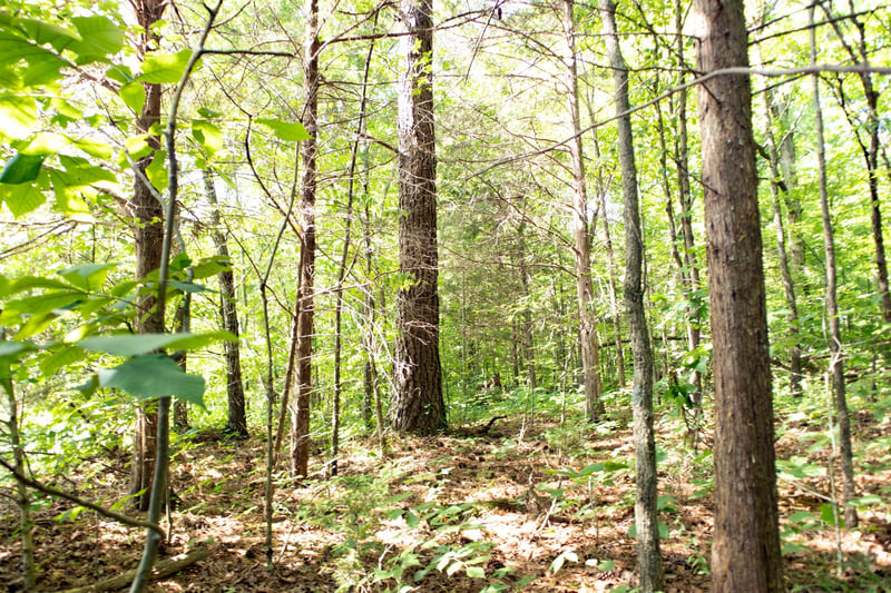 5929 Davis Hollow Rd, Franklin, TN 37064