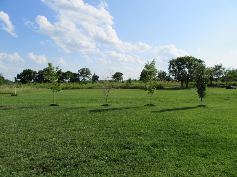1410 Oak Dr, Murfreesboro, TN 37128