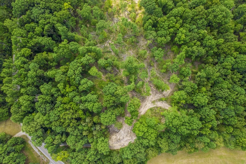 0 Daugherty Capley Rd, Primm Springs, TN 38476