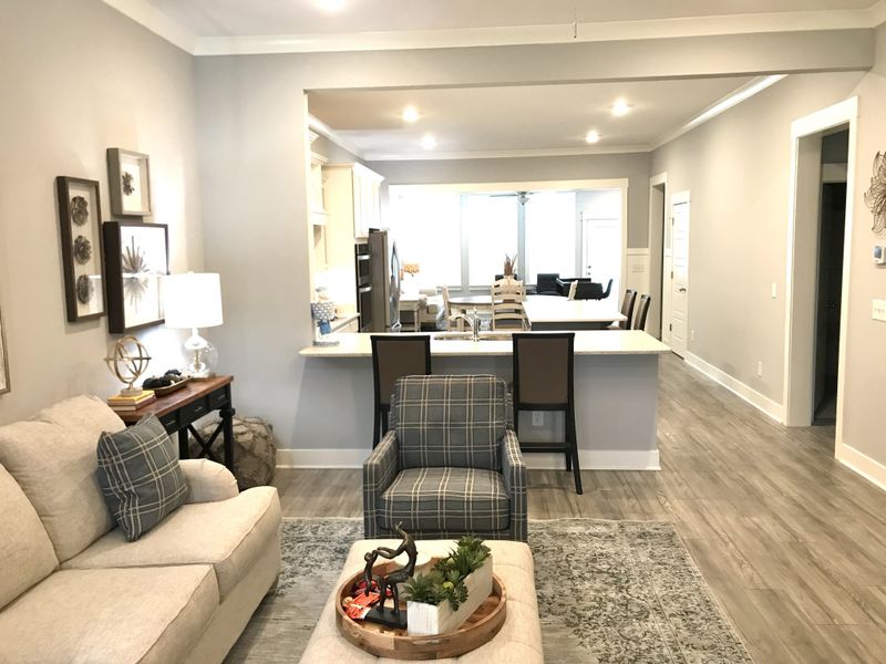 1117 Flagfin Ln lot 19, Murfreesboro, TN 37130