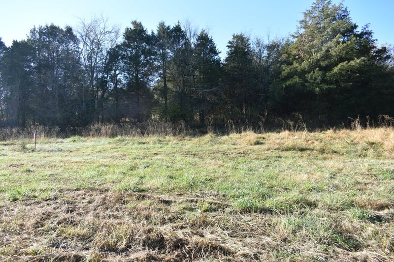 0 Enigma Rd, Elmwood, TN 38560