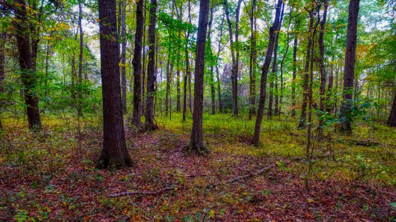 0 Price Rd, Orlinda, TN 37141