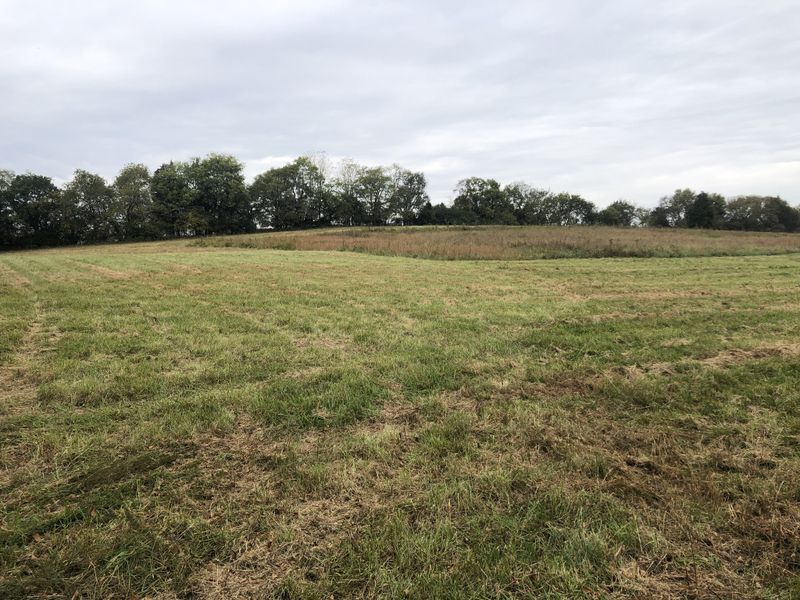0 Hwy 31 E, Bethpage, TN 37022