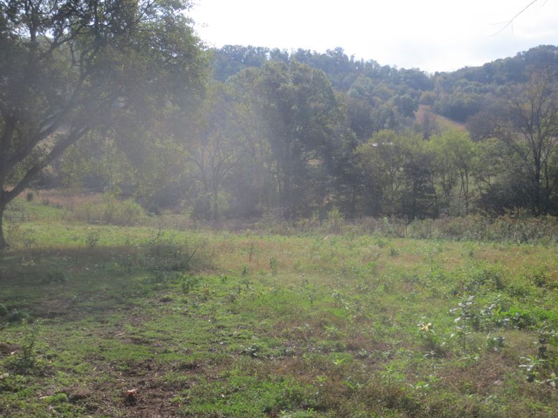 73 Shoulder Ln, Dixon Springs, TN 37057