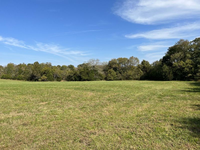 1897 Holly Grove Rd, Lascassas, TN 37085