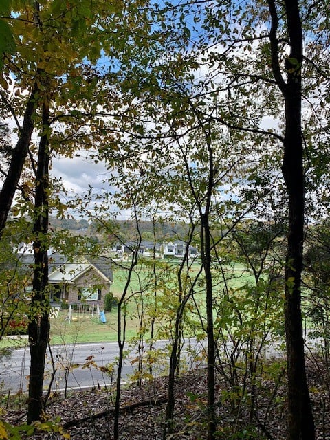 0 Riverview Dr, Pegram, TN 37143