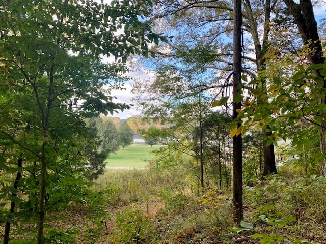 0 Riverview Dr, Pegram, TN 37143