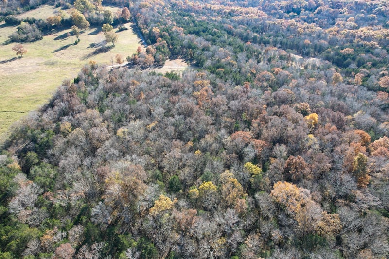 0 Salem Rd, Lascassas, TN 37085