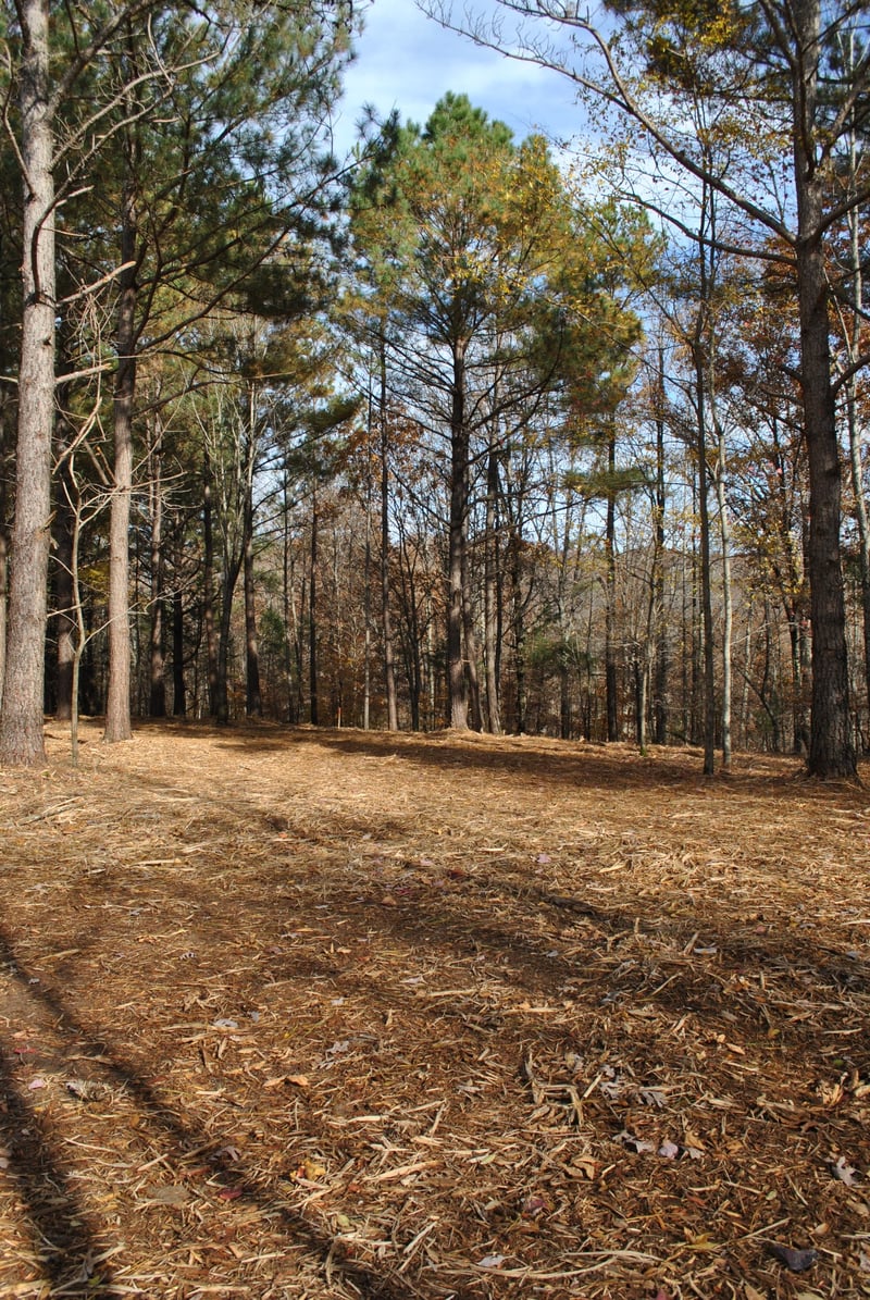 0 Lampley Rd, Primm Springs, TN 38476