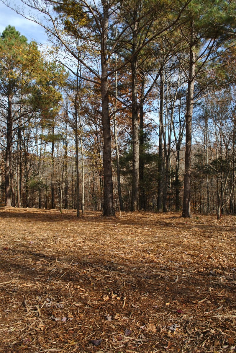0 Lampley Rd, Primm Springs, TN 38476