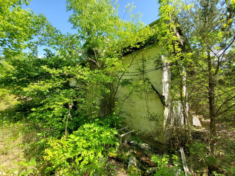4009 Beckwith Rd, Mount Juliet, TN 37122