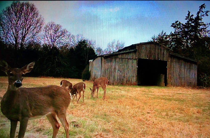 0 Floraton Rd, Readyville, TN 37149