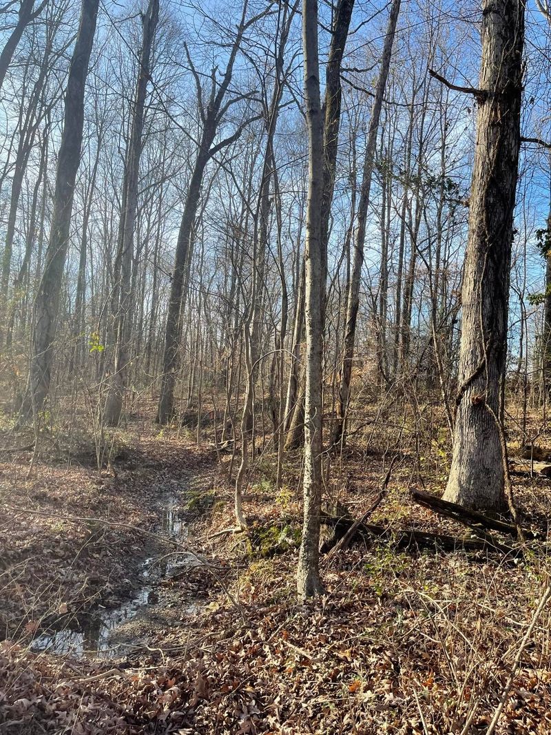 0 Old Franklin Rd, Fairview, TN 37062